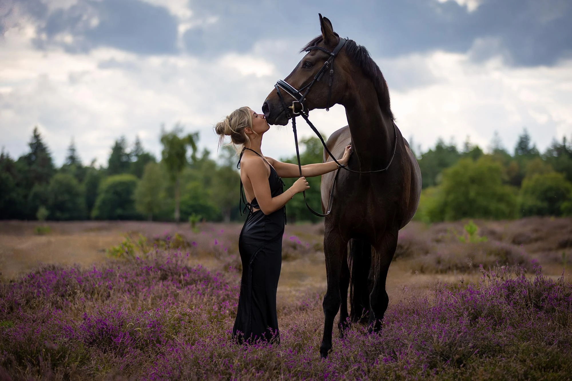 Jij & Je Paard